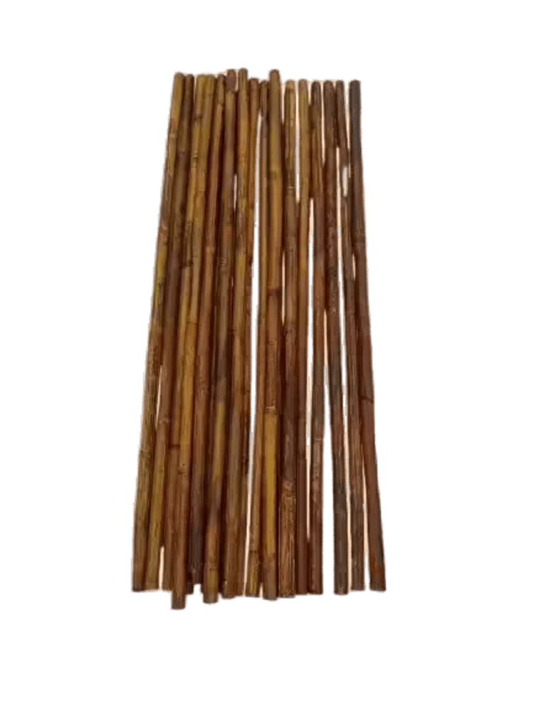 craiyon_154141_image