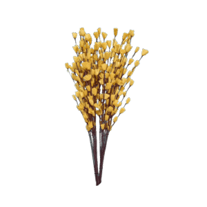 Handcrafted Dried Yellow Bud Flower Stems – Natural Floral Décor