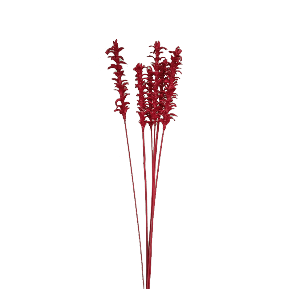 WhatsApp-Image-2025-11-29-at-17.42.31